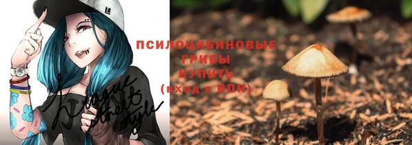 гидропоника Вяземский