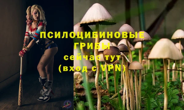гидропоника Вяземский