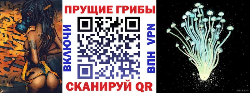 Псилоцибиновые грибы прущие грибы  MEGA вход  Кандалакша 