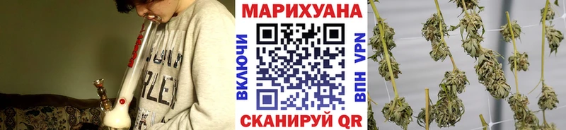 Каннабис гибрид Кандалакша